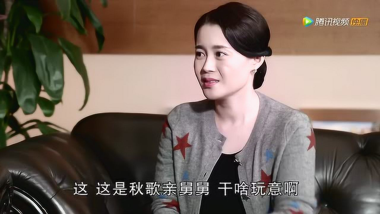 乡村爱情8（下） 21集