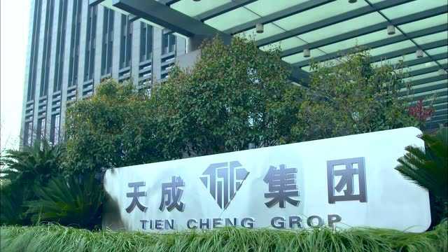 爱的阶梯 12集