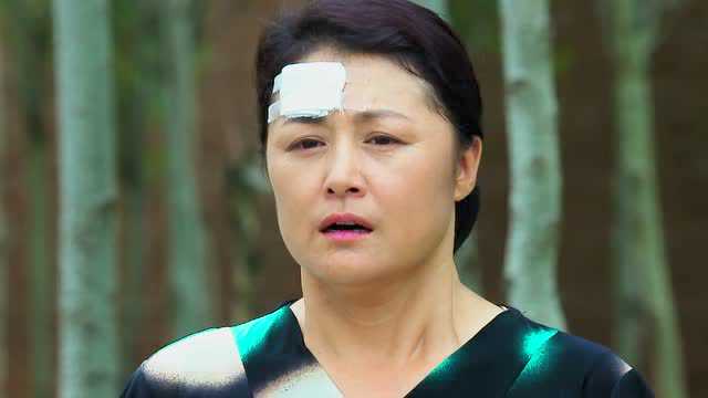 乡村爱情9（上） 16集