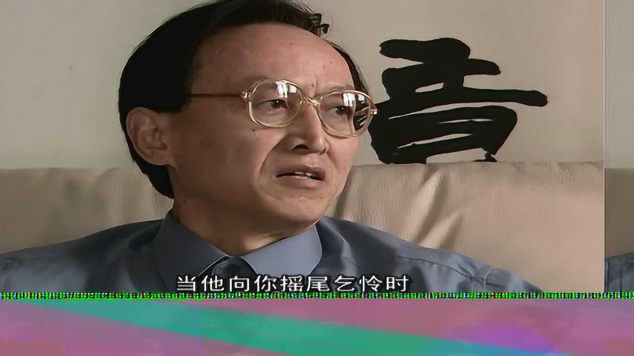 书香门第 13集