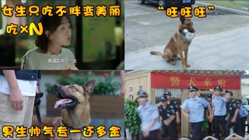 《警犬来啦》新年特辑  看最萌警犬新年一定旺旺旺！