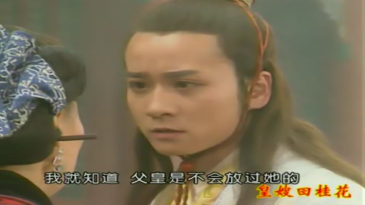 皇嫂田桂花 7集