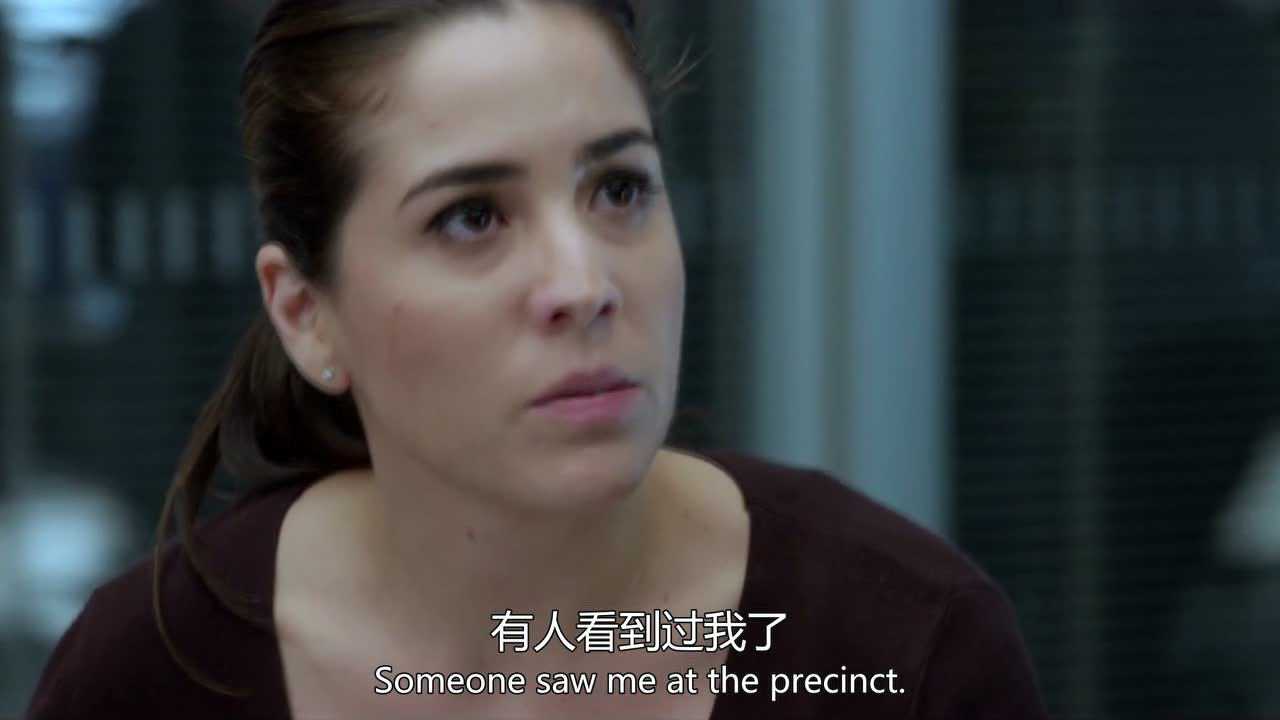 盲点第2季 8集