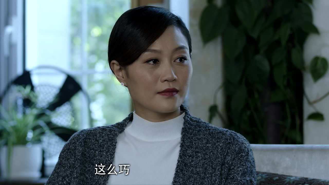 骨语 25集