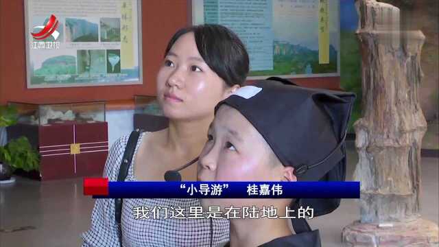 鹰潭 龙虎山景区的“小导游”