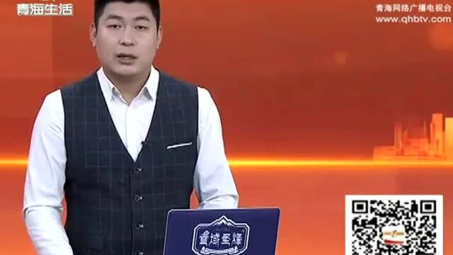 江苏:全国盆栽大赛创意无限 盆景师一显身手