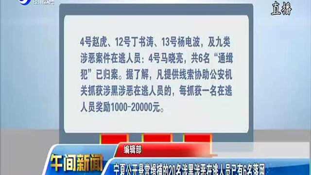 宁夏公开悬赏缉捕的20名涉黑涉恶在逃人员已有6名落网