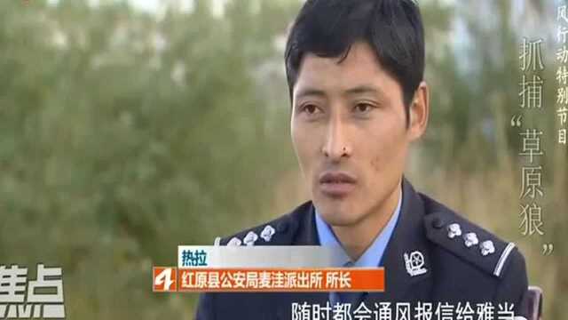 抓捕“草原狼”2