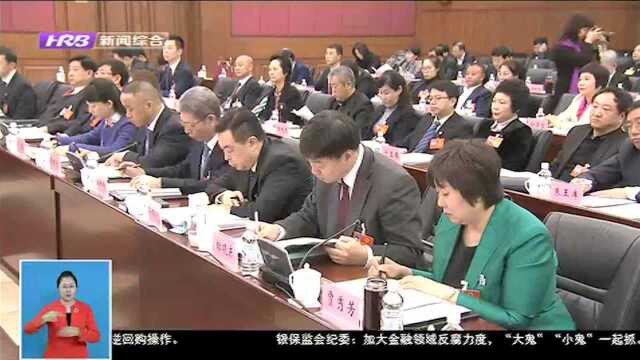 王常松王兆力参加省十三届人大三次会议哈尔滨代表团审议