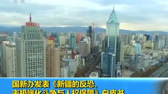 国新办发表《新疆的反恐、去极端化斗争与人权保障》白皮书