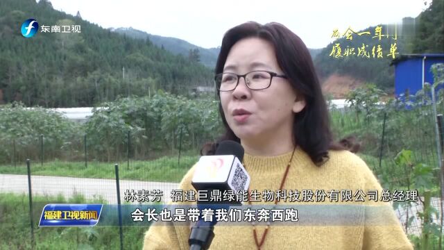 陈建华:为促进两岸融合交流建言献策