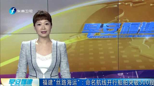 福建“丝路海运”:命名航线开行船舶突破500艘次