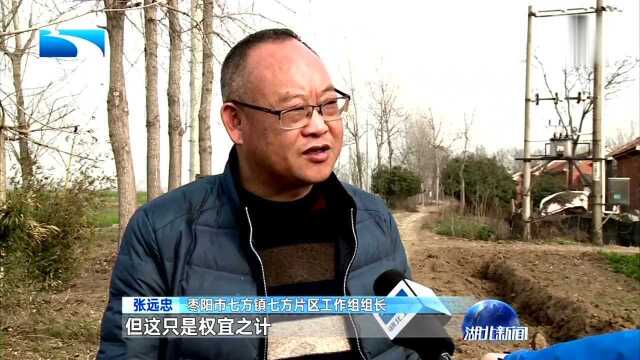 镇村之间设工作组 枣阳探索乡村治理新模式