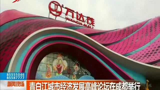 青白江城市经济发展高峰论坛在成都举行