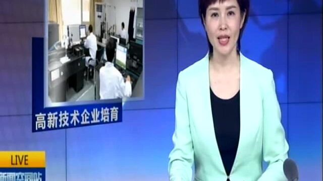 加快推进高新技术企业培育“小升高”工作:江苏为科技型中小微企业点燃“加速器”