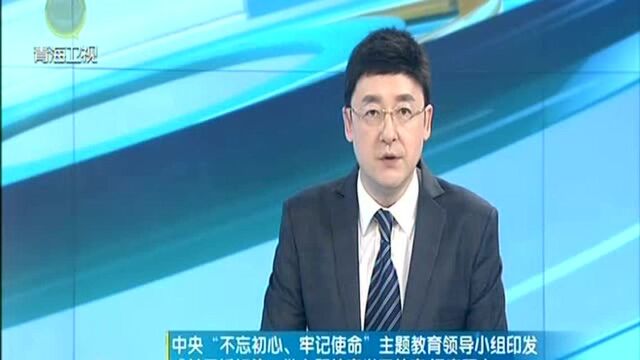 《关于抓好第一批主题教育学习教育 调查研究检视问题 整改落实公职的通知》