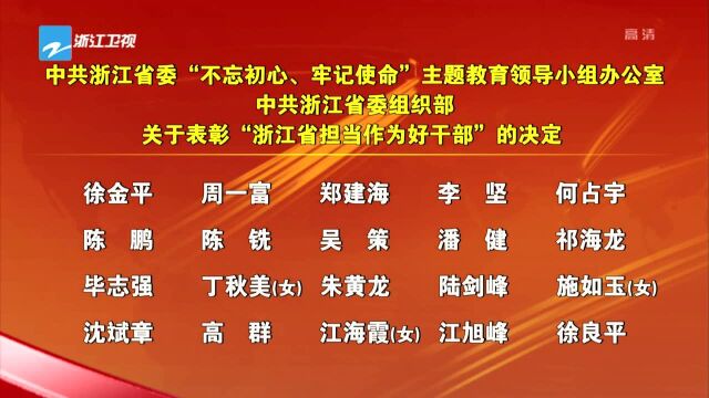 中共浙江省委“不忘初心、牢记使命”主题教育领导小组办公室 中共浙江省委组织部关于表彰“浙江省担当作为好干部”的决定