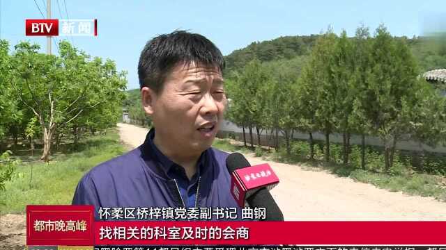 怀柔区桥梓镇 建章立制解民所困