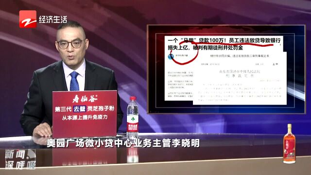 一个“马甲”贷款100万 员工违法放贷导致银行损失上亿