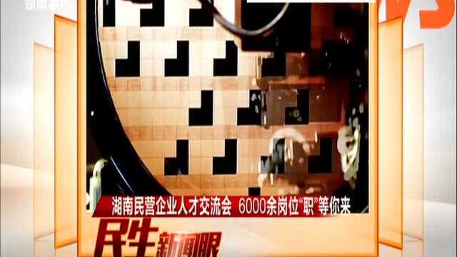 湖南民营企业人才交流会 6000余岗位“职”等你来