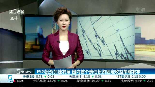 ESG投资加速发展 国内首个责任投资固定收益策略发布