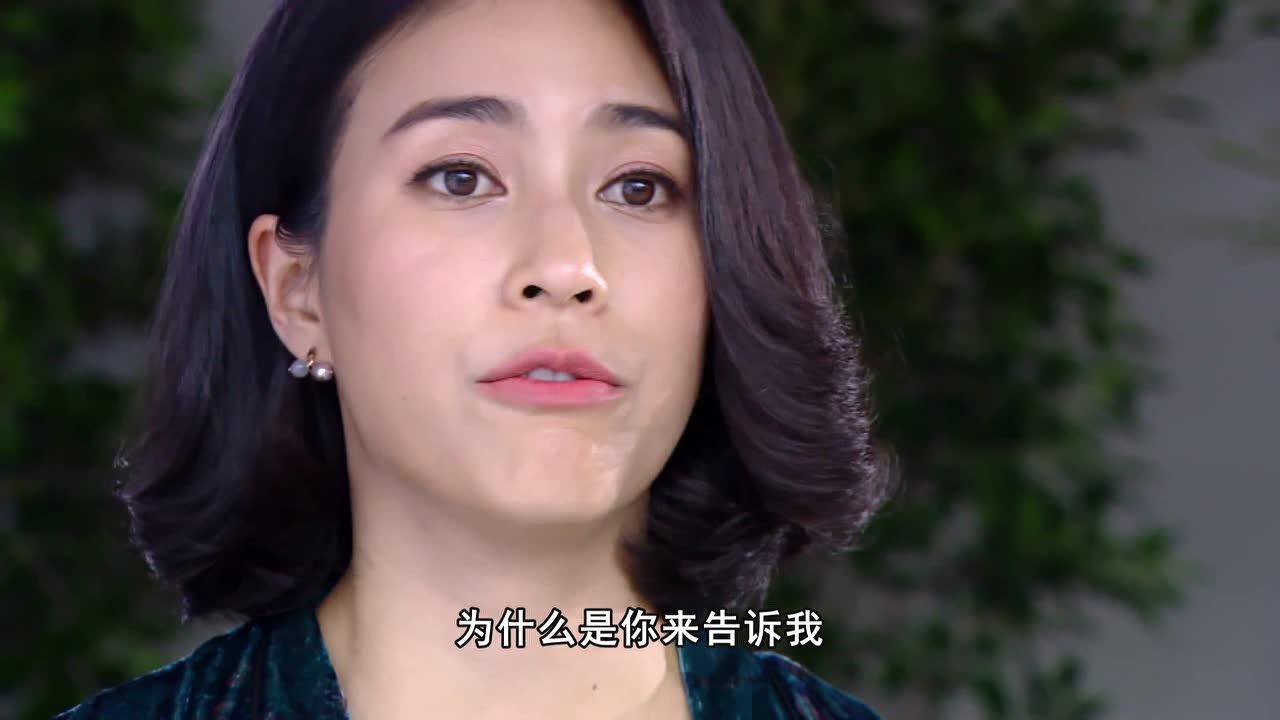 爱恨之火[普通话版] 31集