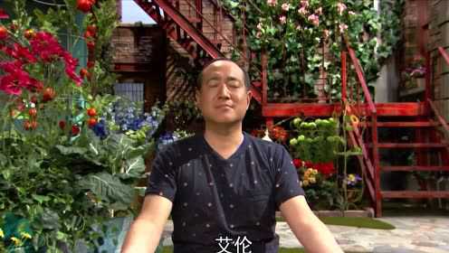 芝麻街国际版第46季[磨耳朵英文版] 10集