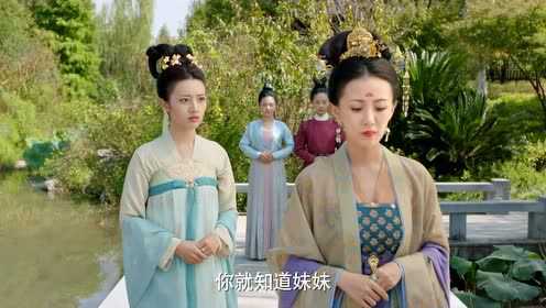 长安诺 14集
