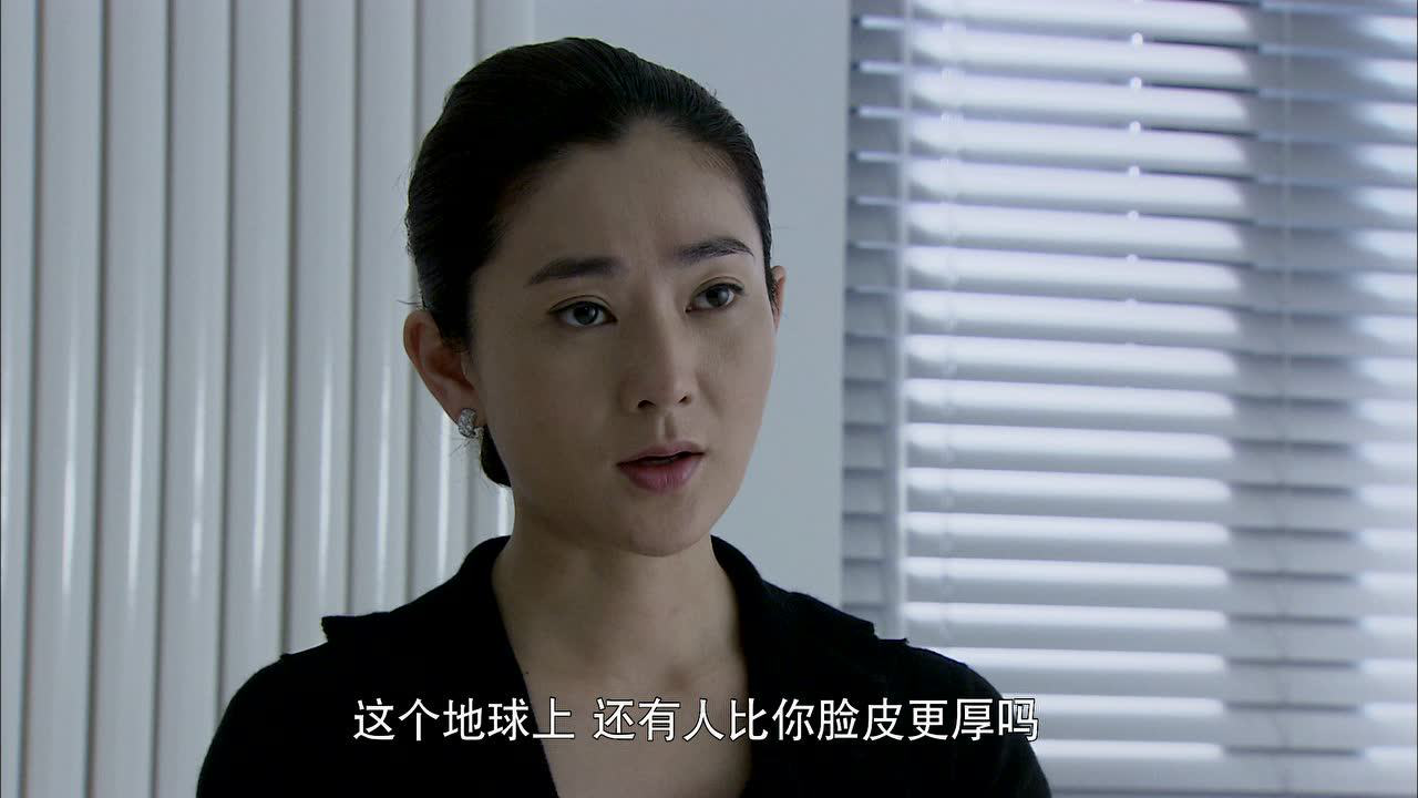 迷局之拨云见日 24集
