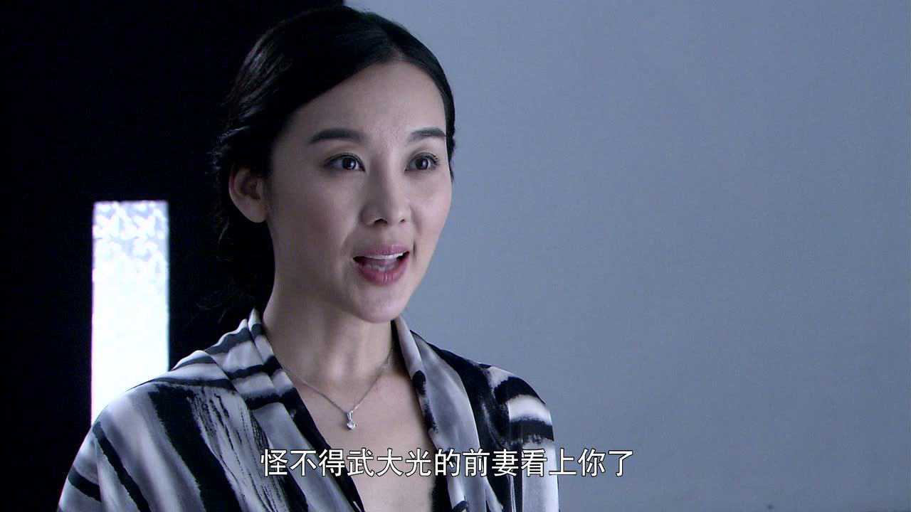 迷局之拨云见日 11集