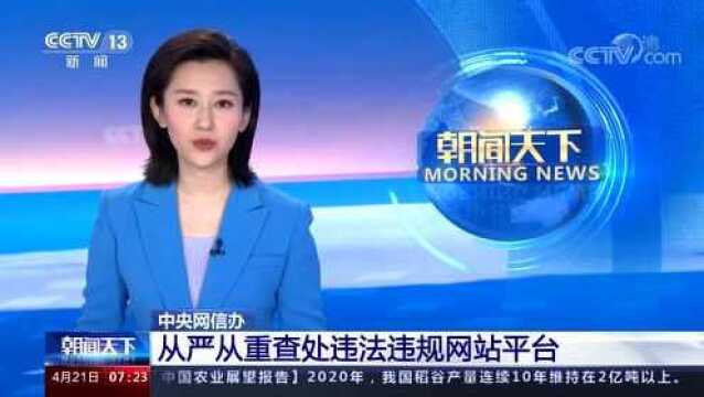 中央网信办 从严从重査处违法违规网站平台