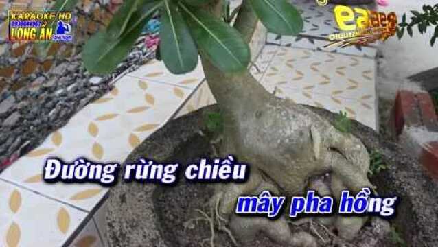 Chiều M氡 Bi㪮 Giới  Tone Nam