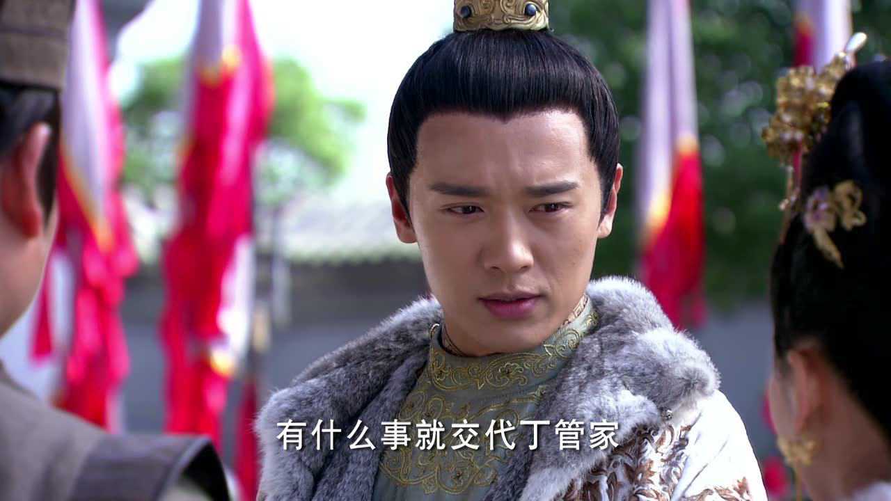 失宠王妃之结缘 8集
