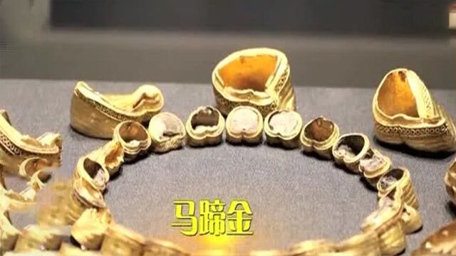 专家现场展示马蹄金提取过程