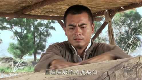 西口情歌 11集