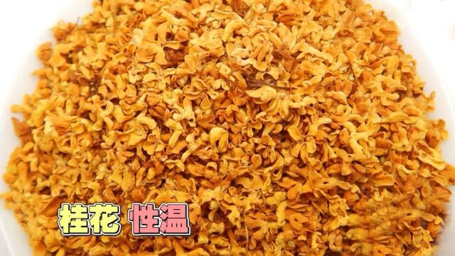 冬日养生推荐:桂花熟普茶