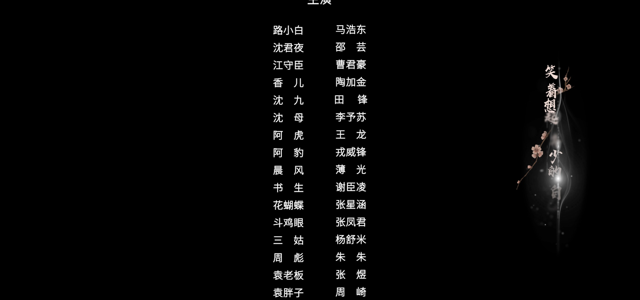双面赘婿 21集