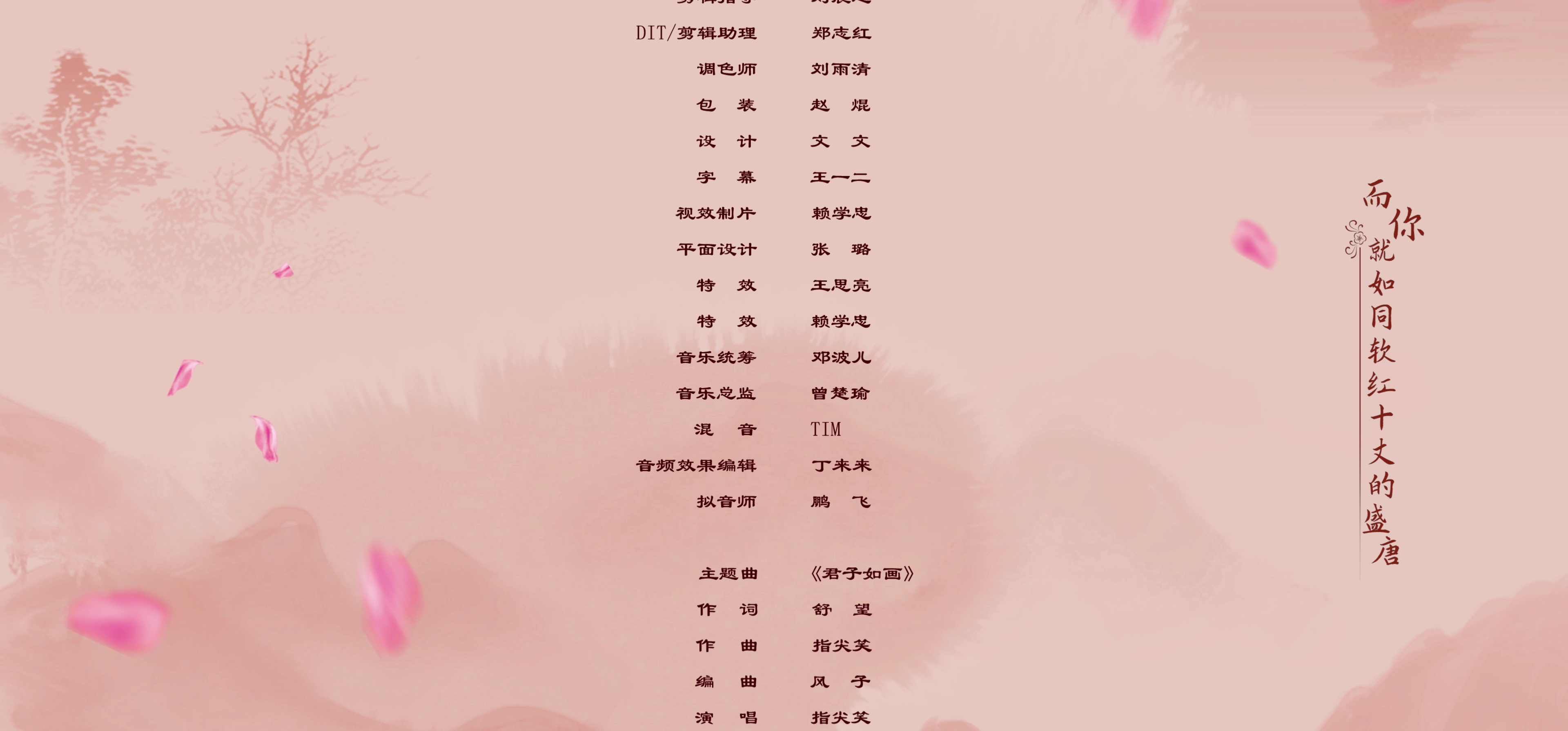 神医大人别撩我 34集