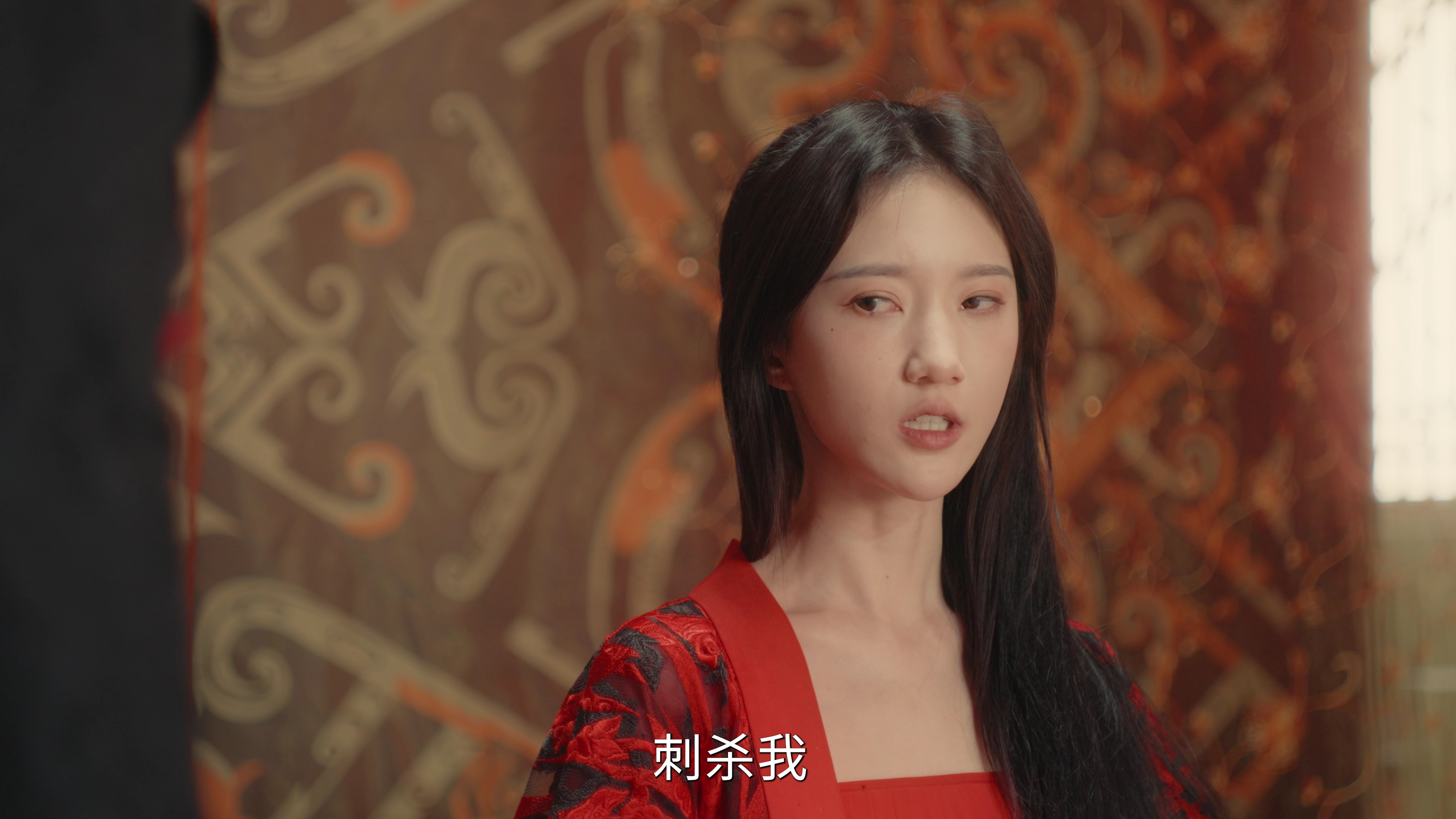 长公主不可以 5集