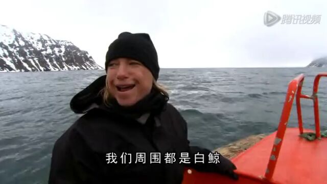 海洋第8集:北冰洋高光片段