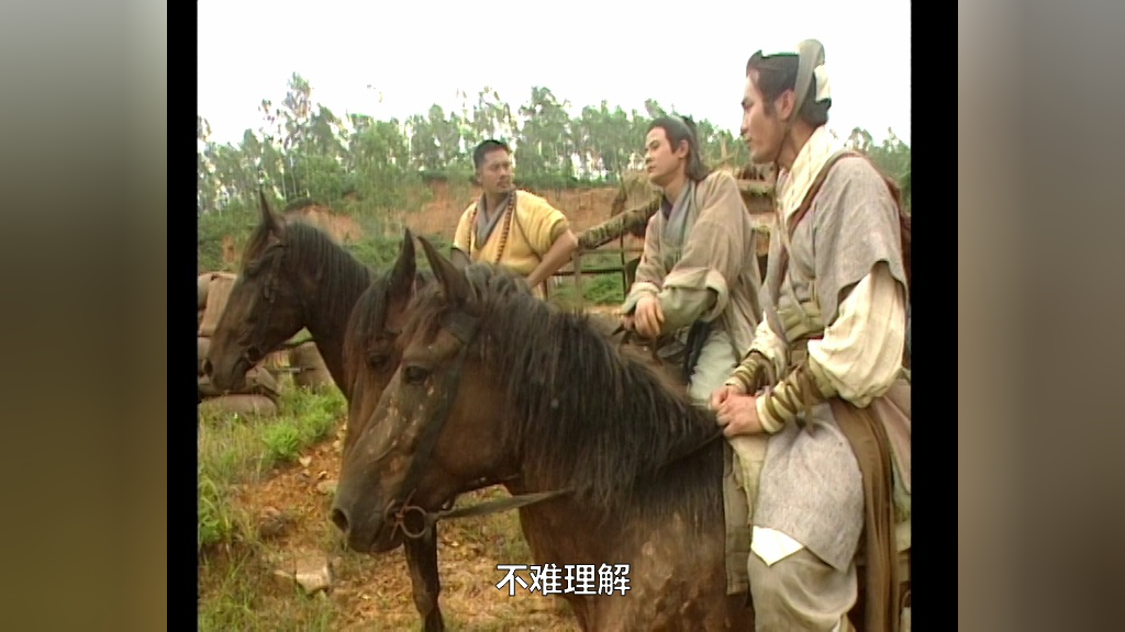 碧血剑 25集