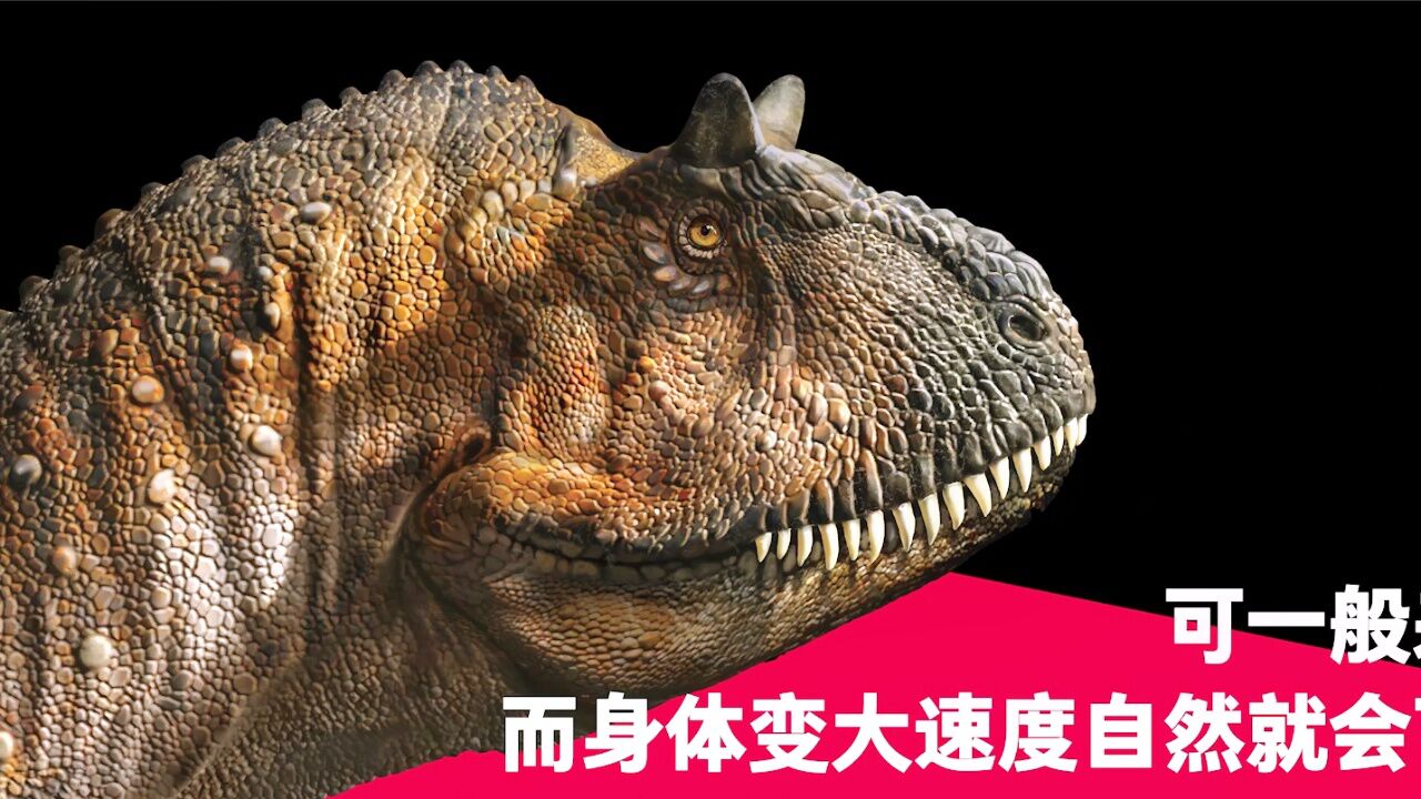 pnso恐龙博物馆:中型肉食恐龙