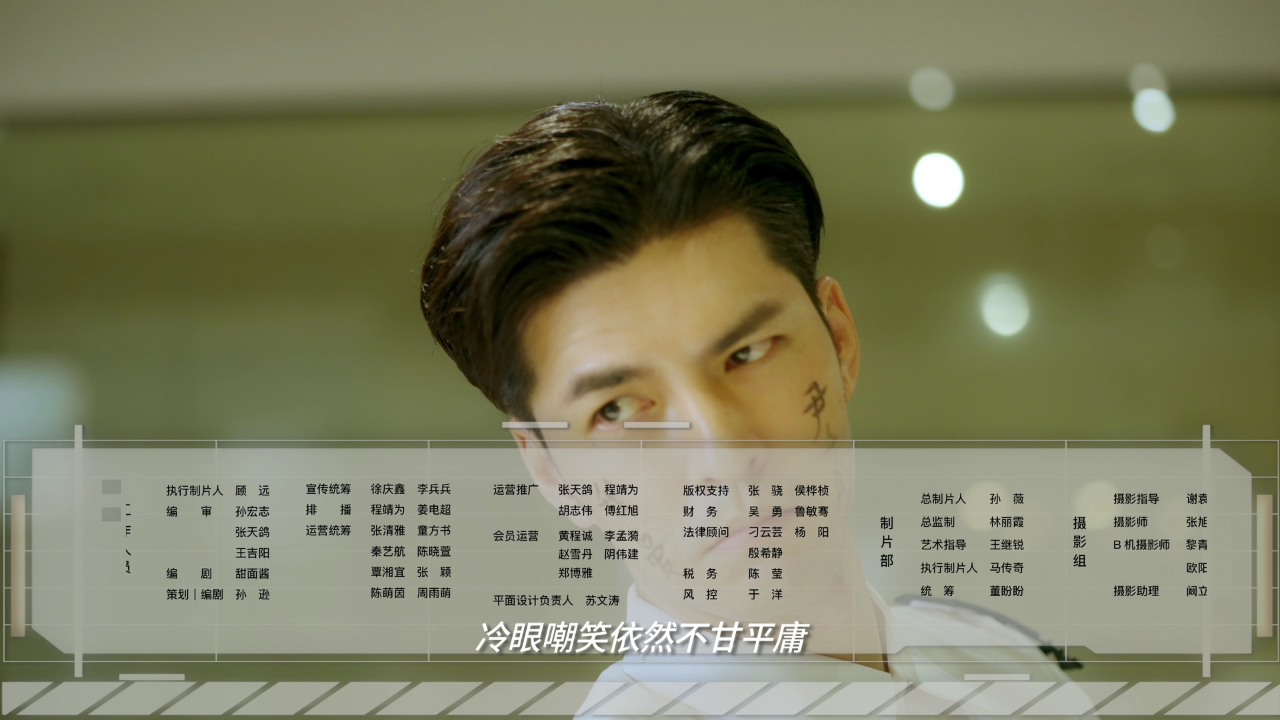 赘婿无双 14集