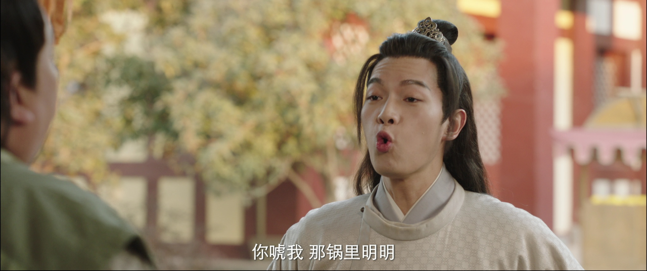 王妃万福 17集