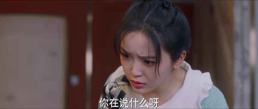 突然降临的楚先生 12集