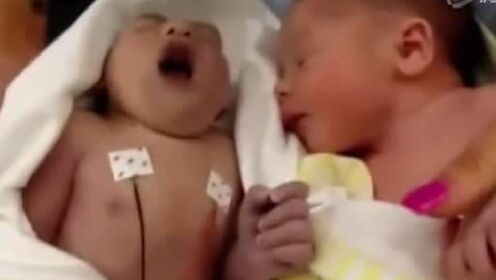 英国新生儿只活一百分钟 捐献器官救他人