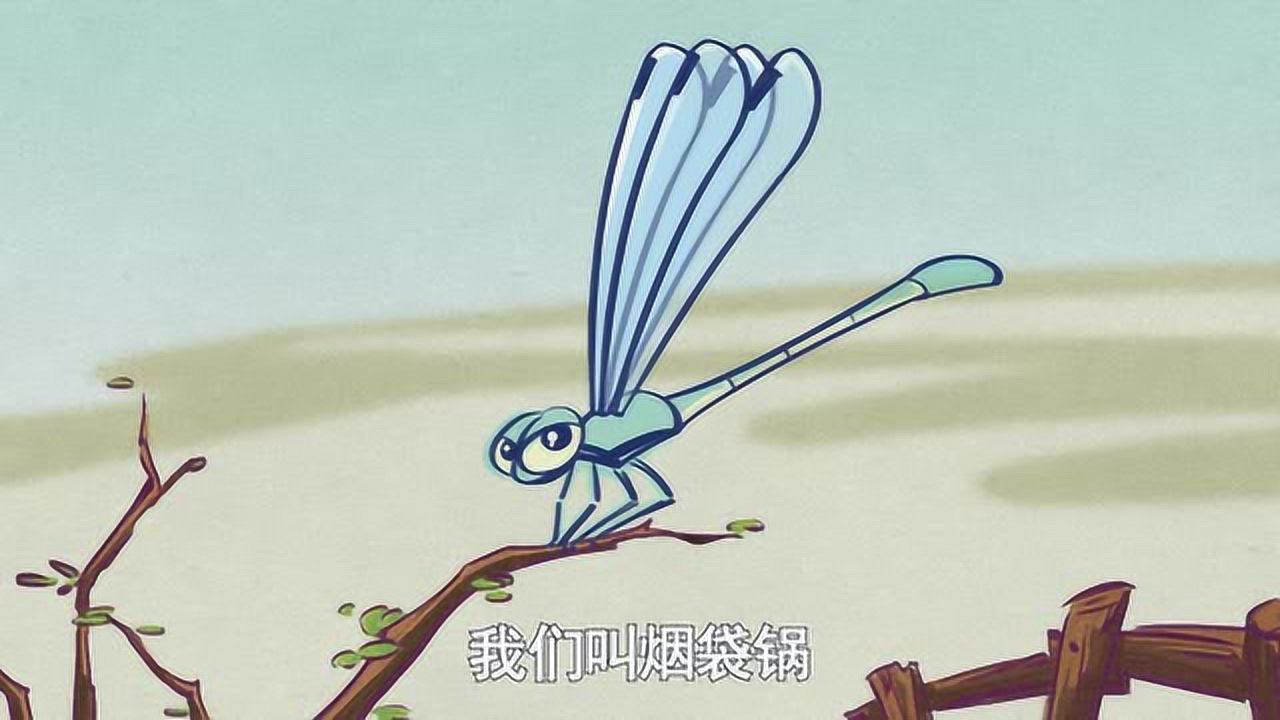 男寝501 10集