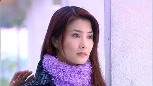 《杨丽菁》2003年电视剧电影《霹雳蓝天使》