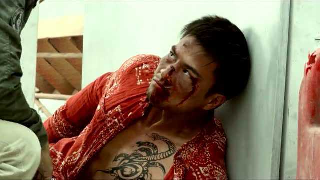 特殊身份 甄子丹对战安志杰