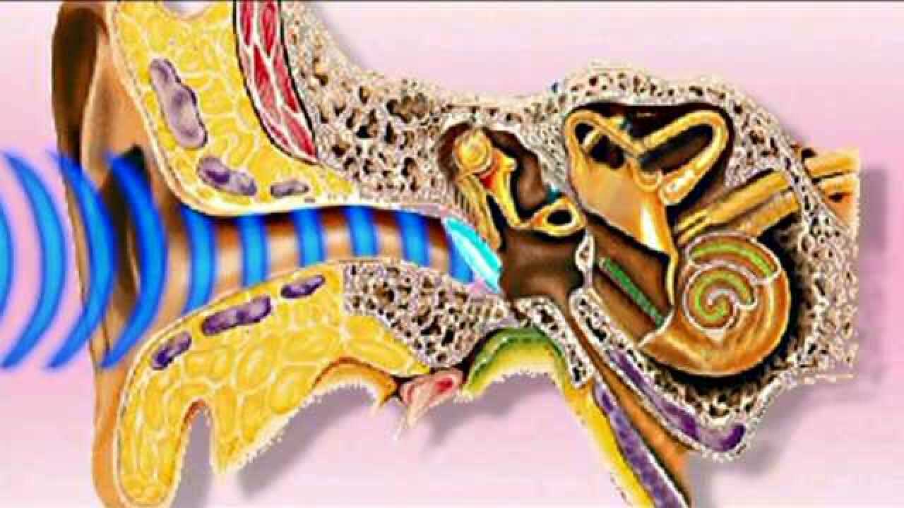 耳的结构与听觉的形成_高清1080P在线观看平台_腾讯视频